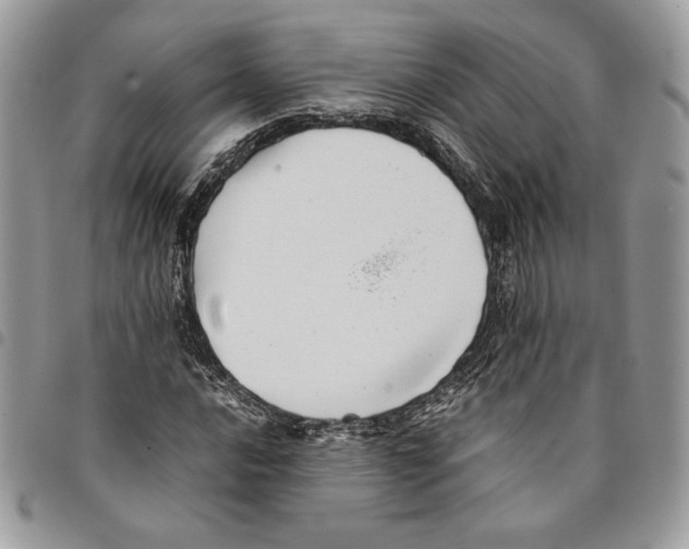 X0000094951016200712271653