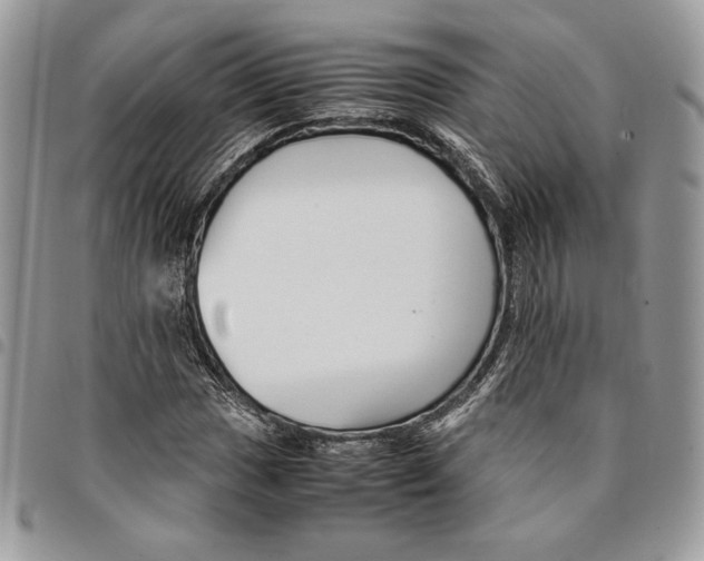 X0000094951017200712271653