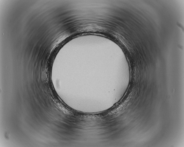 X0000094951018200712271653