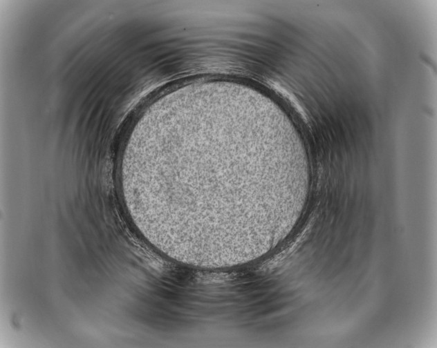 X0000094951019200712271653