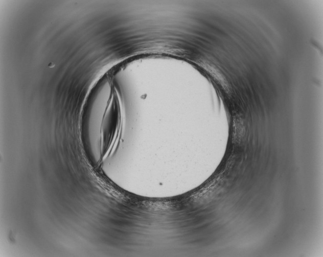 X0000094951020200712271653