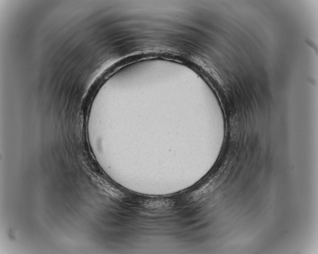 X0000094951021200712271653