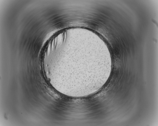 X0000094951022200712271653