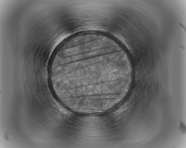 X0000094951024200712271653