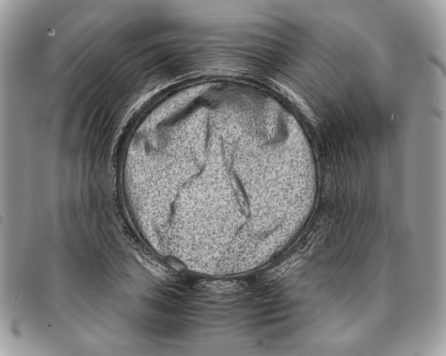 X0000094951027200712271653