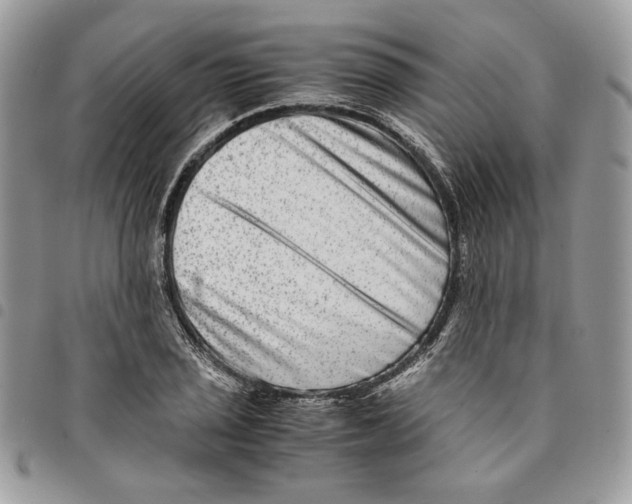 X0000094951029200712271653