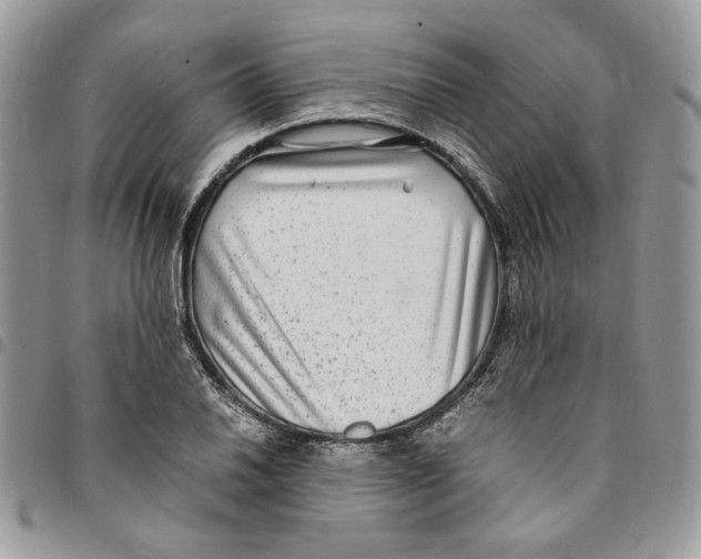 X0000094951030200712271653