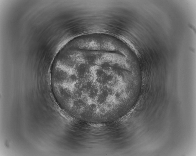 X0000094951031200712271653