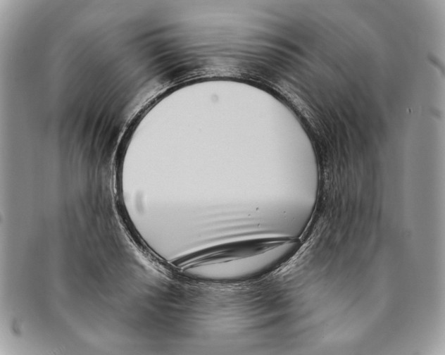 X0000094951034200712271653