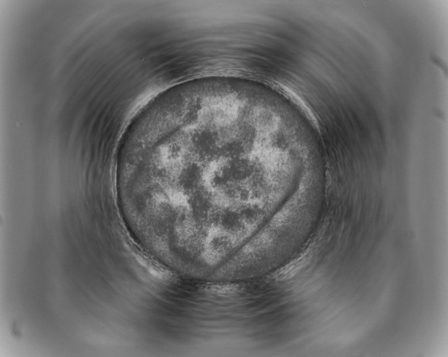 X0000094951035200712271653