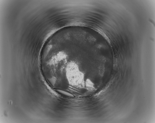 X0000094951037200712271653