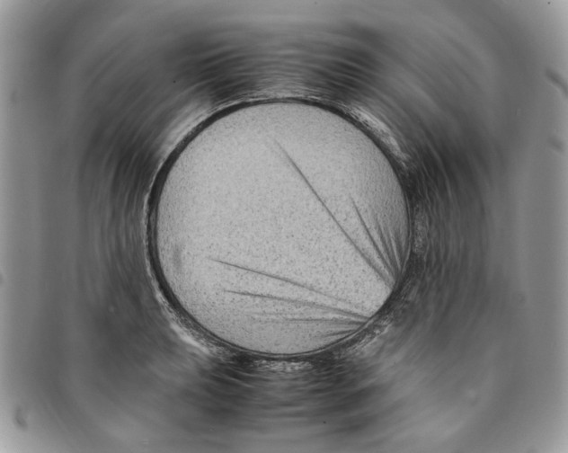 X0000094951039200712271653