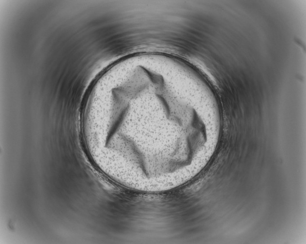 X0000094951040200712271653