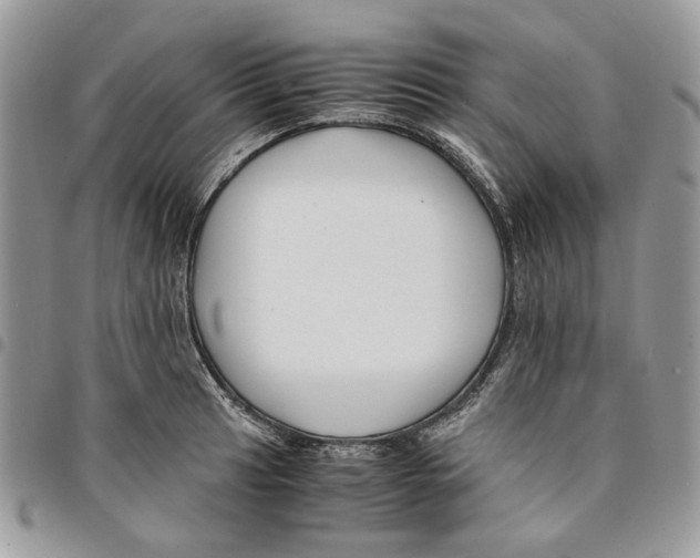 X0000094951041200712271653