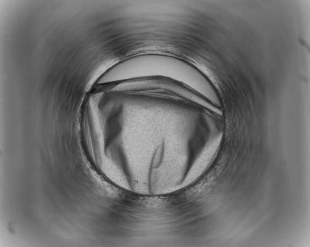 X0000094951042200712271653