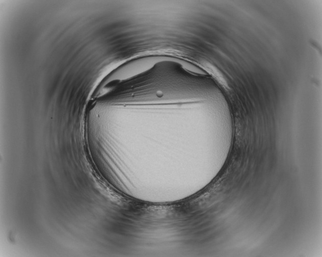 X0000094951044200712271653