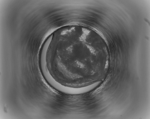 X0000094951045200712271653