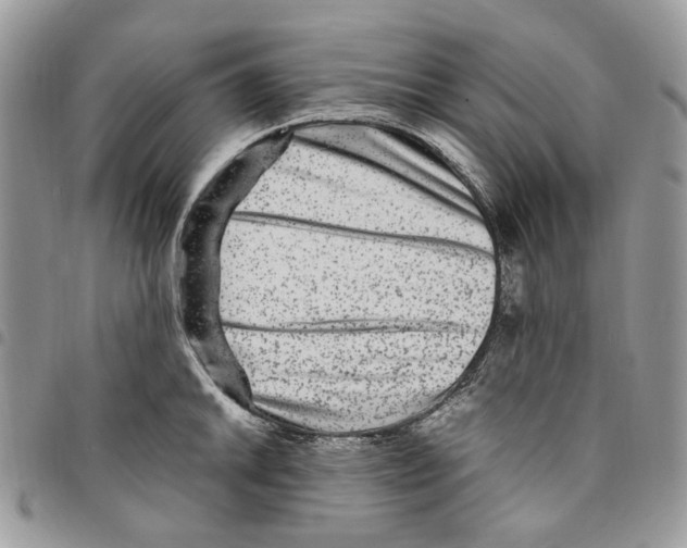 X0000094951046200712271653