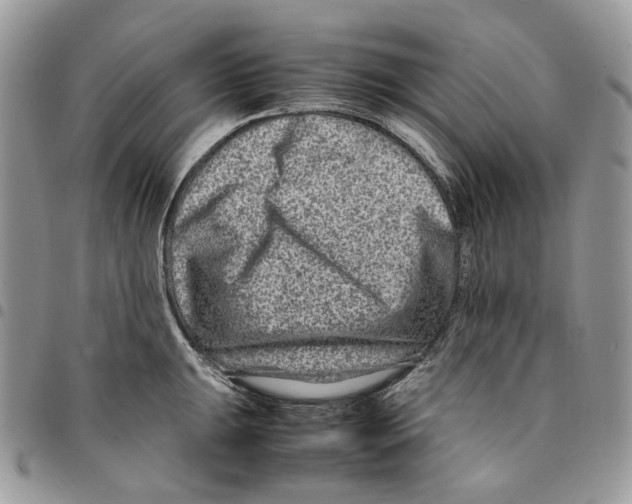 X0000094951047200712271653