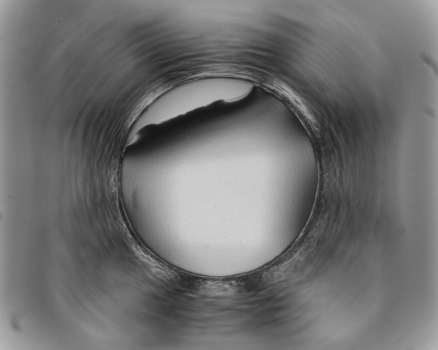 X0000094951049200712271653