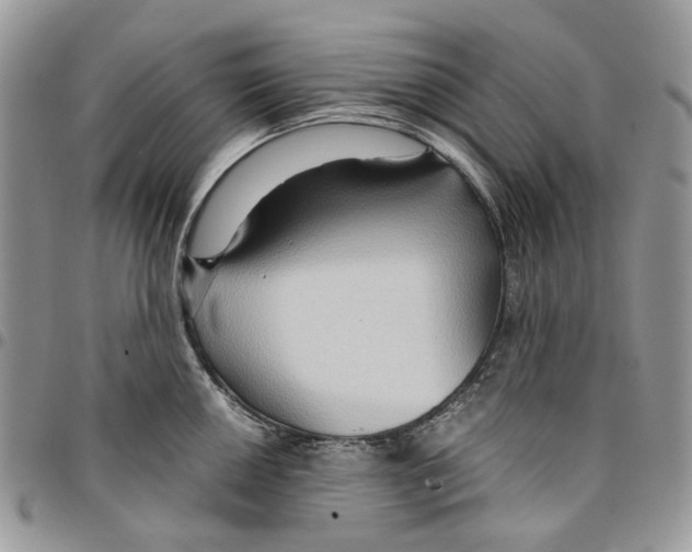 X0000094951050200712271653