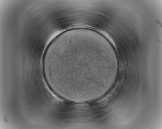 X0000094951053200712271653