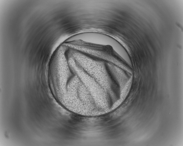 X0000094951054200712271653