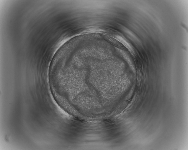 X0000094951055200712271653