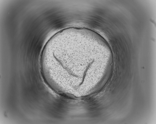 X0000094951056200712271653