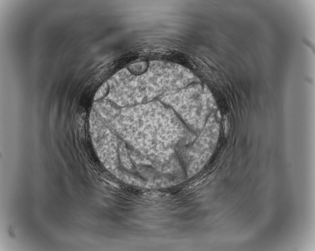 X0000094951059200712271652