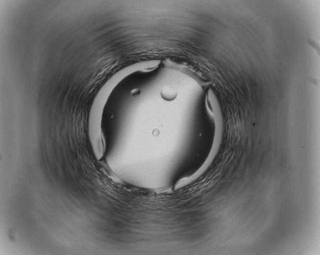 X0000094951060200712271652