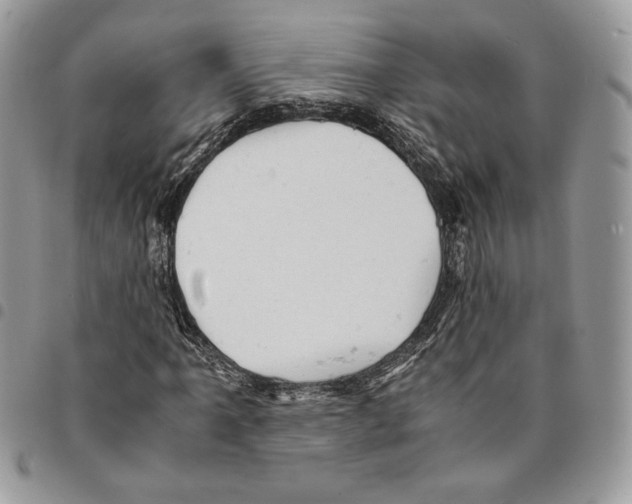 X0000094951061200712271652