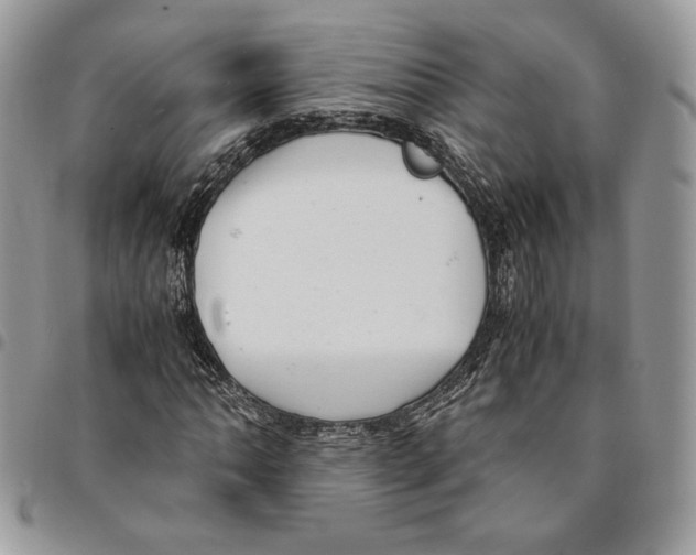 X0000094951062200712271652