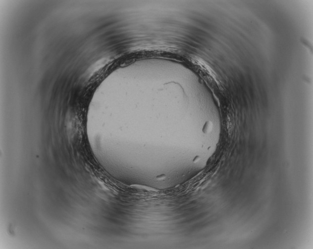 X0000094951064200712271652