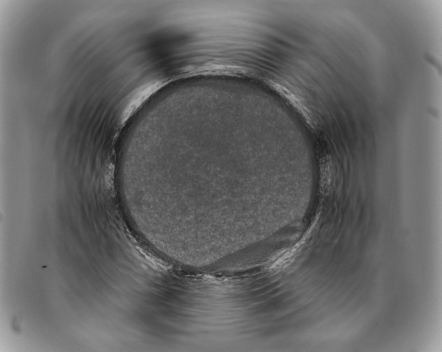 X0000094951066200712271652