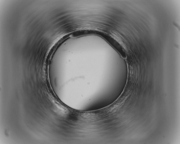 X0000094951068200712271652