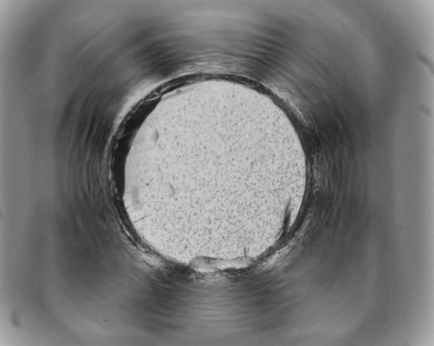 X0000094951070200712271652