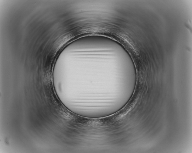 X0000094951073200712271652