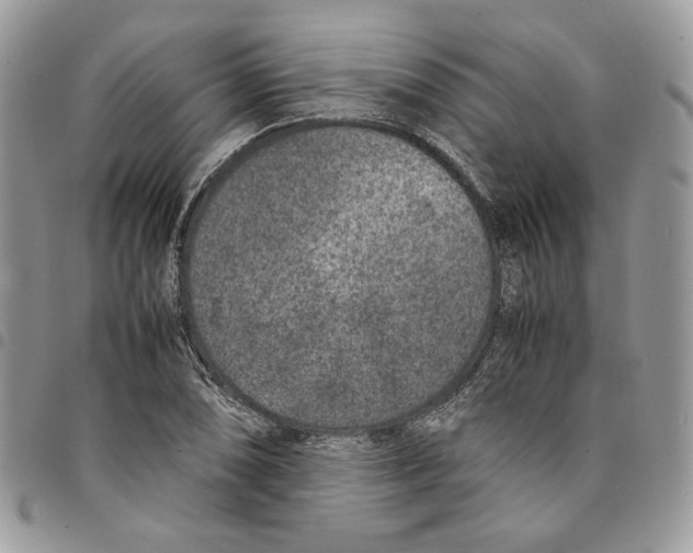 X0000094951074200712271652