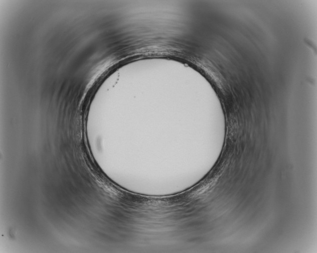 X0000094951075200712271652