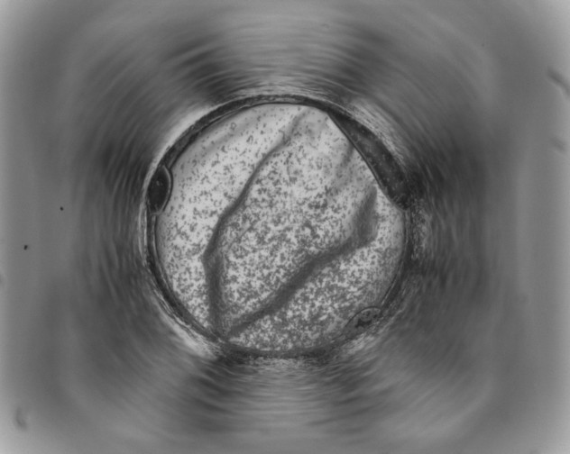 X0000094951076200712271652