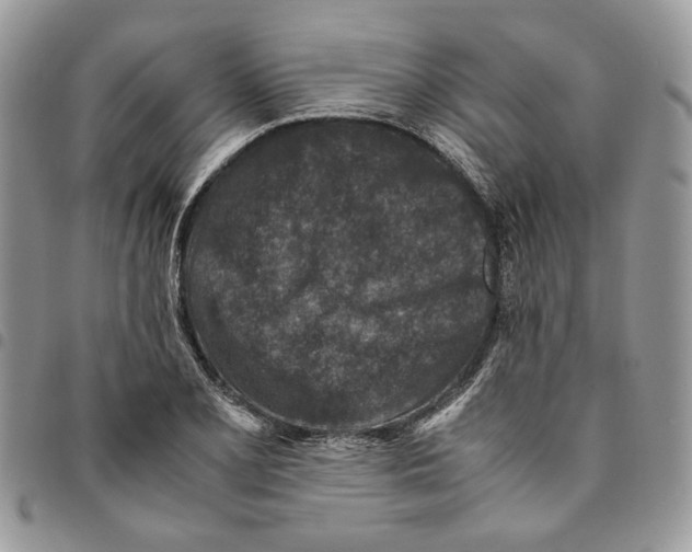 X0000094951077200712271652