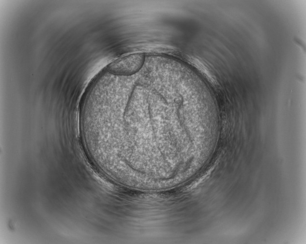 X0000094951079200712271652