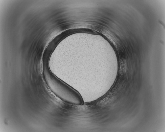 X0000094951080200712271652