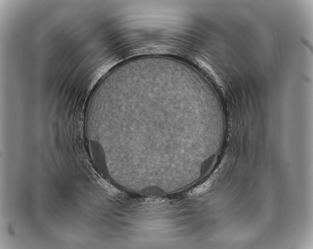 X0000094951081200712271652