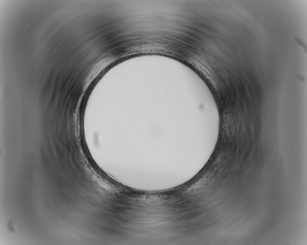 X0000094951082200712271652