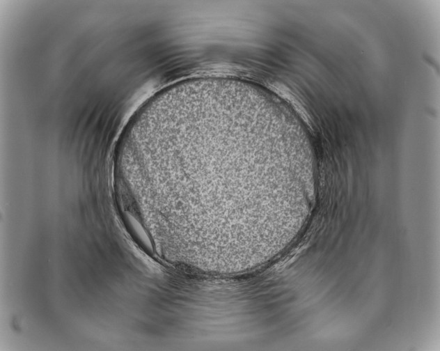 X0000094951083200712271652