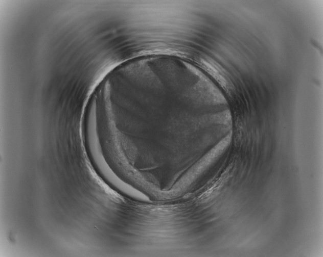 X0000094951084200712271652