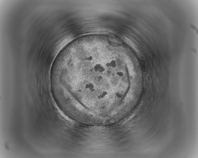 X0000094951087200712271652