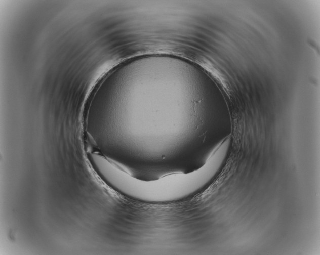 X0000094951088200712271652